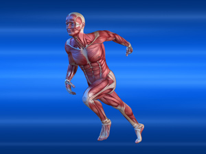 Holistic body function incorporating appropriate "sports therapist" techniques. Functional correction and guidance.